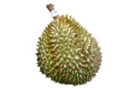 durian01.jpg